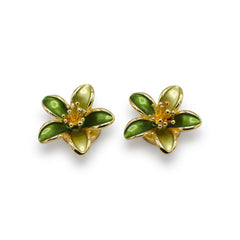 Button cover nr 52 per set